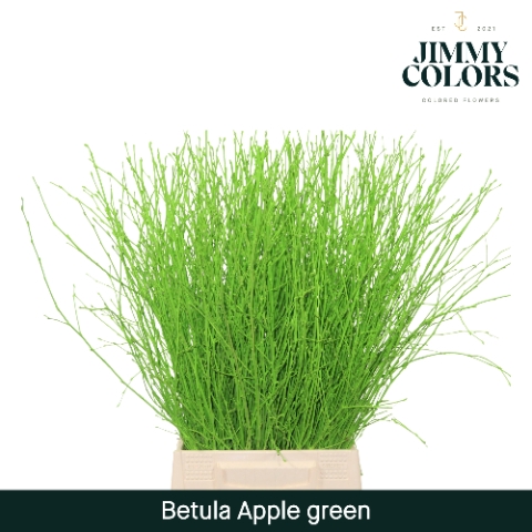 <h4>Betula L60 Apple green</h4>