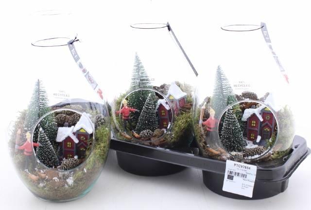 arr8 Kerstcreatie In Glazen Venster Vaas