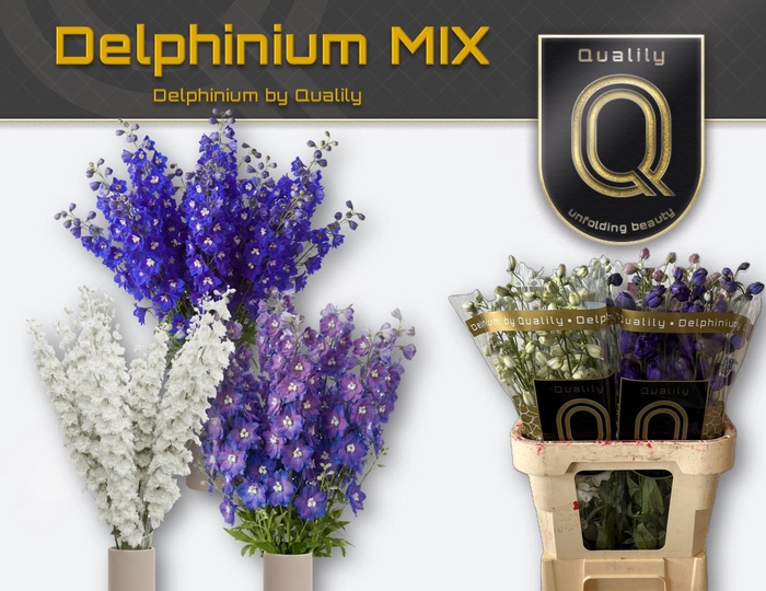 <h4>DELPH DU GEM FUST 80CM MIX</h4>