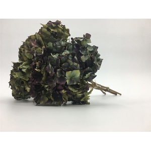 Dried Hydrangea Amethyst Bunch