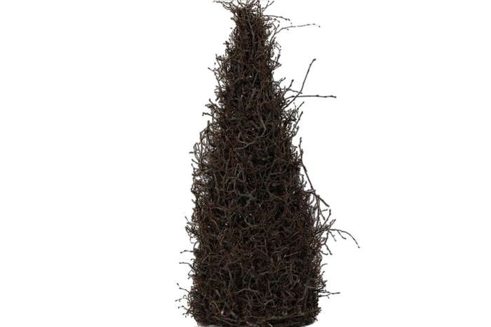 <h4>Deco Cone Bonsai H70 Naturel</h4>