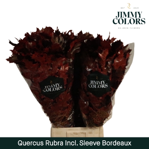 <h4>Quercus Rubra sleeve L80 Klbh. Bordeaux</h4>