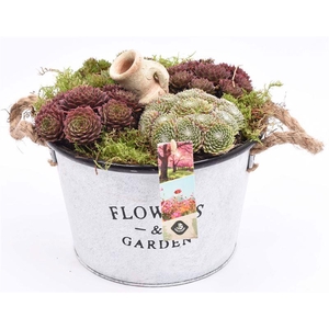 Zink teil Flowers & Garden 18cm