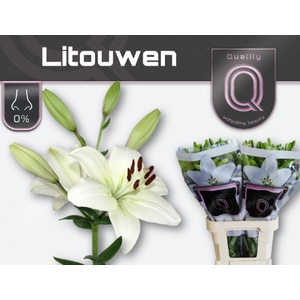 Li La Litouwen 4+