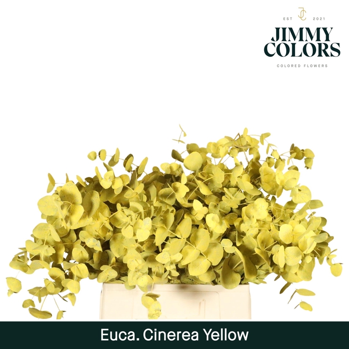 <h4>Cinerea per bos 200g Yellow</h4>