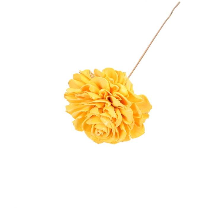 <h4>Bijsteker 50cm Dahlia 10cm</h4>