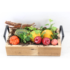 arr4 Sierfruit JS - Hout tray rechth. 338/3
