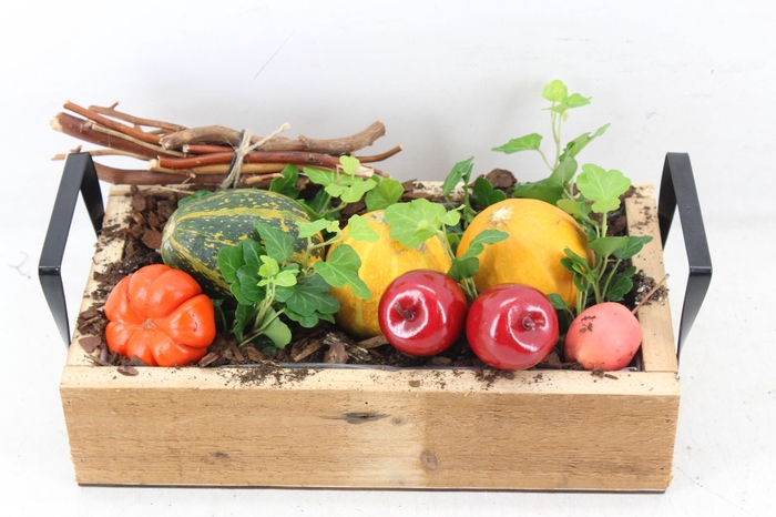 <h4>arr4 Sierfruit JS - Hout tray rechth. 338/3</h4>