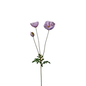 AF Papaver L75cm Lilac