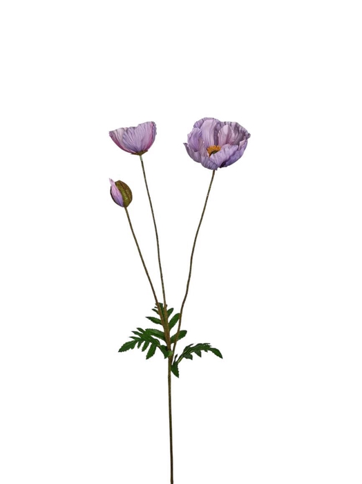 <h4>AF Papaver L75cm Lilac</h4>