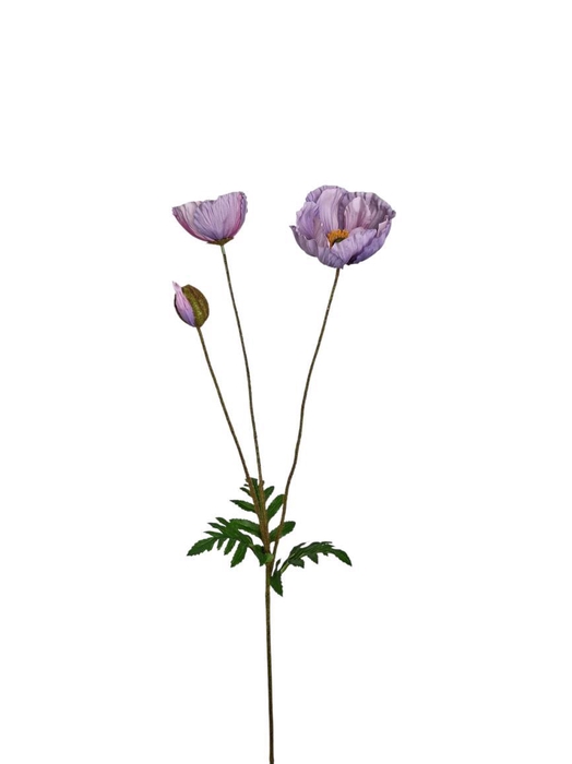 <h4>AF Papaver L75cm Lilac</h4>