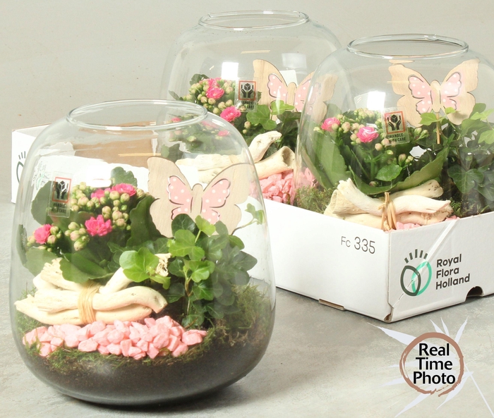 <h4>ARR KAMERPL</h4>