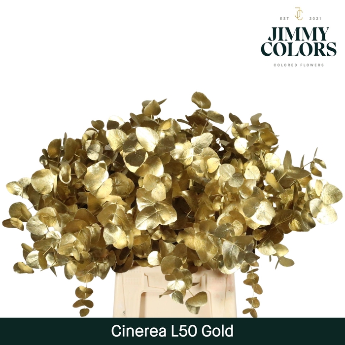 <h4>Cinerea l50 Goud</h4>