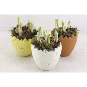 arr4 Narcis MB - Ker kartel ei x6 mix