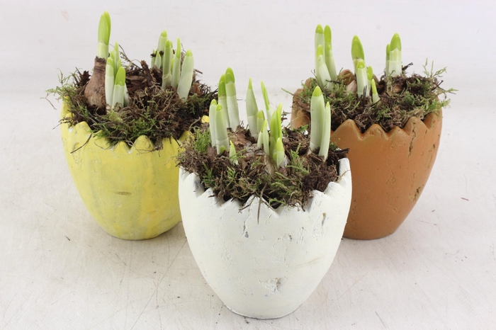 <h4>arr4 Narcis MB - Ker kartel ei x6 mix</h4>