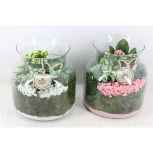 arr2 PL - Glas vaas nobles - roze/wit