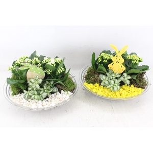 arr2 PL - Glas schaal 27cm - geel/wit