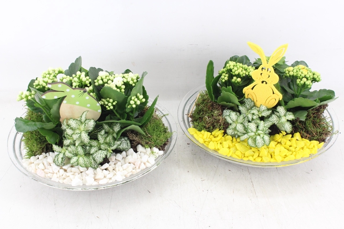 <h4>arr2 PL - Glas schaal 27cm - geel/wit</h4>