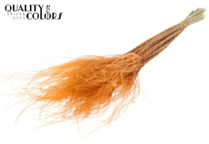 <h4>Droogbloemen   ...bewerkt H%</h4>