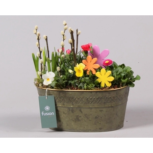 Schaal zink ovaal Voorjaar met Arrangement