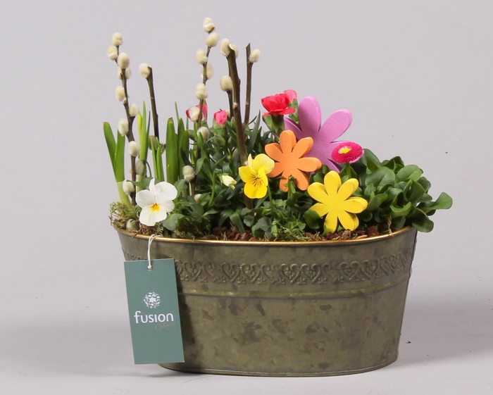 <h4>Schaal zink ovaal Voorjaar met Arrangement</h4>