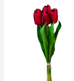TULIPA VERMELHA