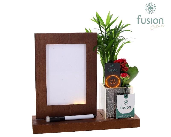 <h4>Arrangementen kamerplanten H% hout FC-24.1753FDH mit Led</h4>