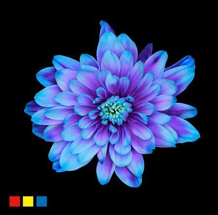 <h4>Chr T 2 Kl Baltica Blue Lagoon</h4>