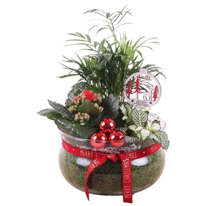 Christmas Arr.Indoor Glass bowl with rope ø20cm 3pp