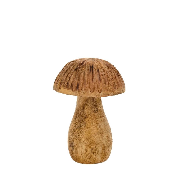 <h4>Autumn Deco Mushroom wood d08*11cm</h4>
