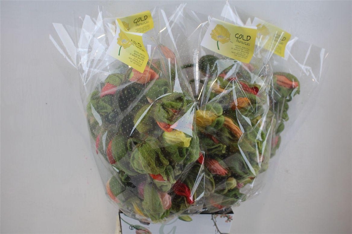 <h4>Papaver Mixed Super P Stem</h4>