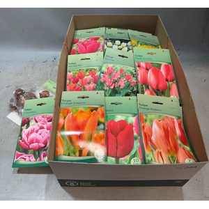 BLOEMBOL TULIPA