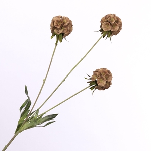 Scabiosa Spray Brown FL440248BRN