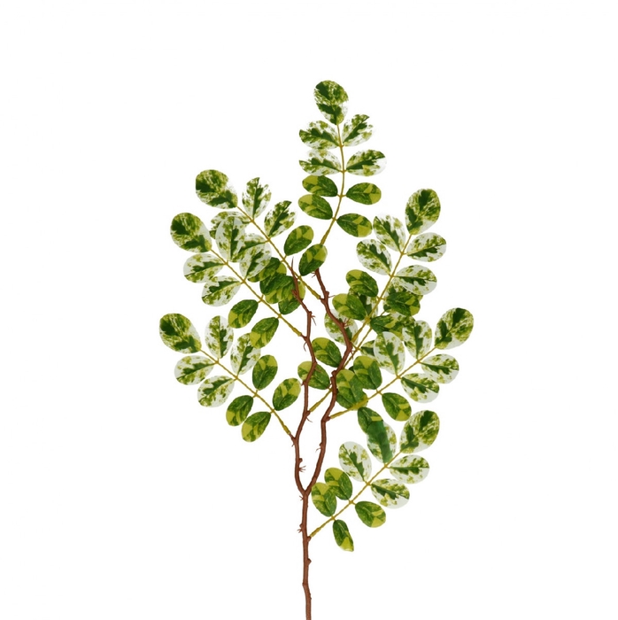 <h4>Kunstbloemen Ficus 65cm</h4>