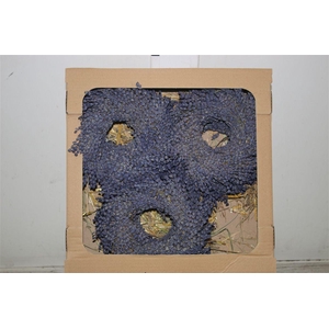 Wreath Lavendel