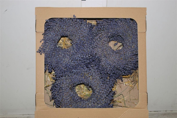 <h4>Wreath Lavendel</h4>