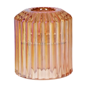 DF02-666828100 - T-lighthldr Senti d3/5.5xh6 peach+pearl