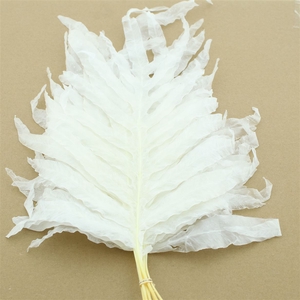 Pres Keel Fern Bleached White P Bnch