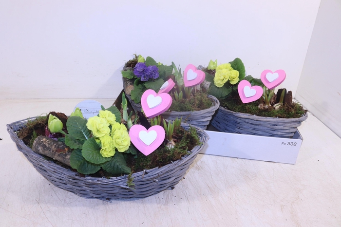 <h4>ARR TUINPLANTEN</h4>