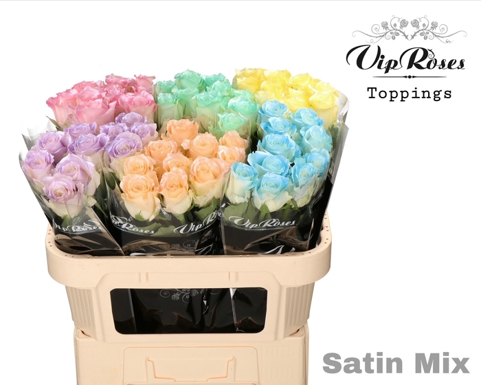 <h4>R GR BABY SATIN MIX MONT ROYAL 998</h4>
