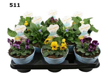 <h4>Edible Flowers Gemengd</h4>
