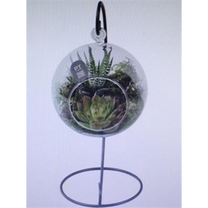 2707 BOLGLAASJE STANDAARD