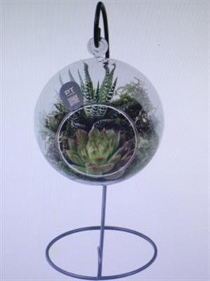 <h4>2707 BOLGLAASJE STANDAARD</h4>