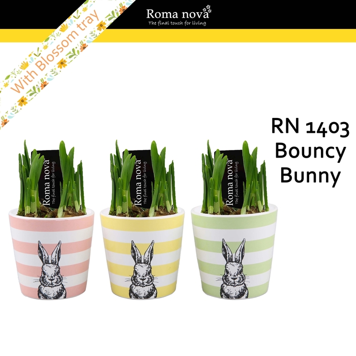 <h4>1403 - Bouncy Bunny (Tete a Tete)</h4>