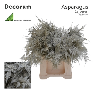 Asp 1e veren Platinum