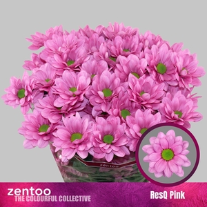 CHR T RESQ PINK
