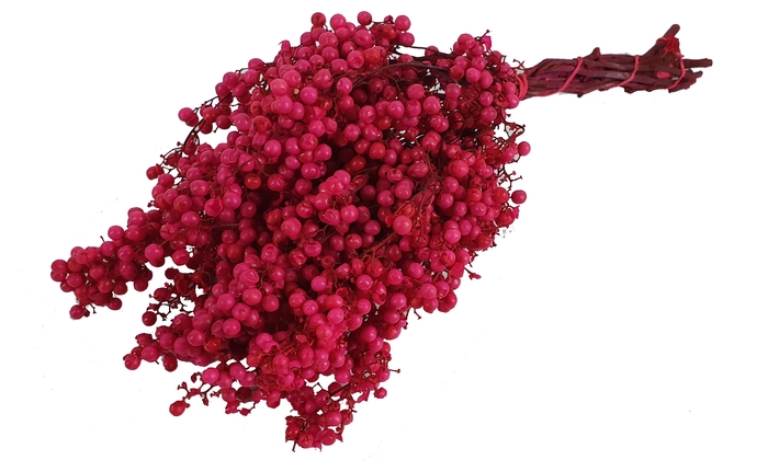 Pepperberries per bunch in poly Cerise