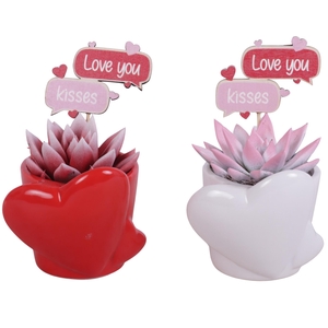 Valentine Arr. Succulent Ceramic Heart pot Red/White Ø10cm 1PP