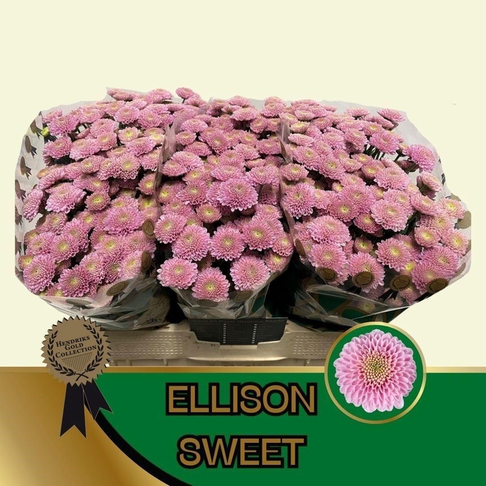 <h4>CHR S ELLISON SWEET</h4>