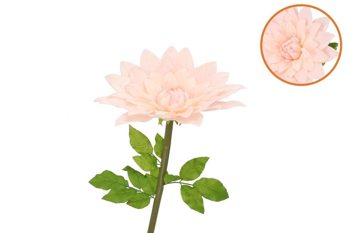 Silk Amazing Dahlia Beauty Peach Xl 43x110cm
